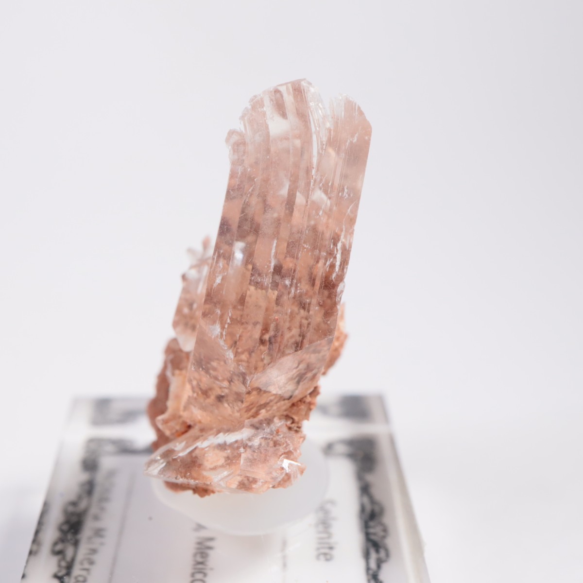 �ᥭ������ ����ʥ���