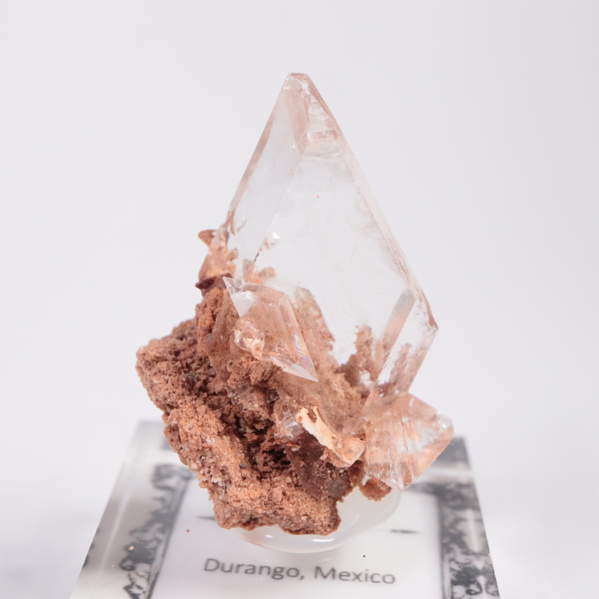 �ᥭ������ ����ʥ���