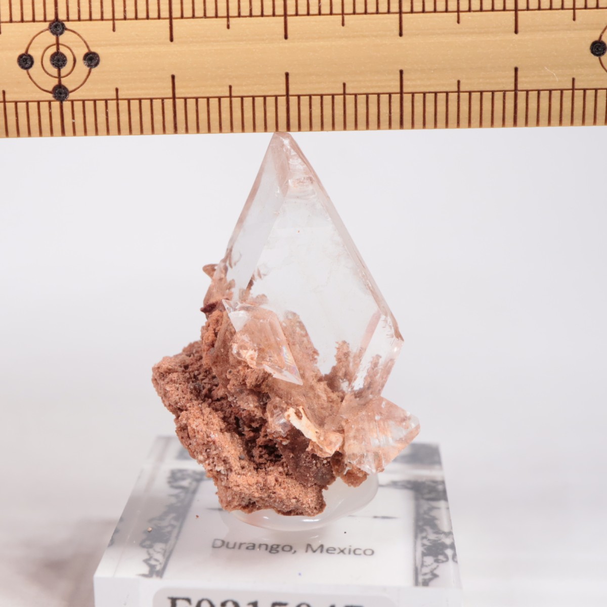 �ᥭ������ ����ʥ���