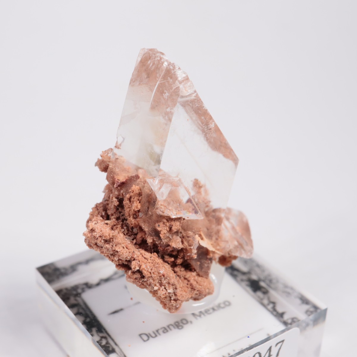 �ᥭ������ ����ʥ���