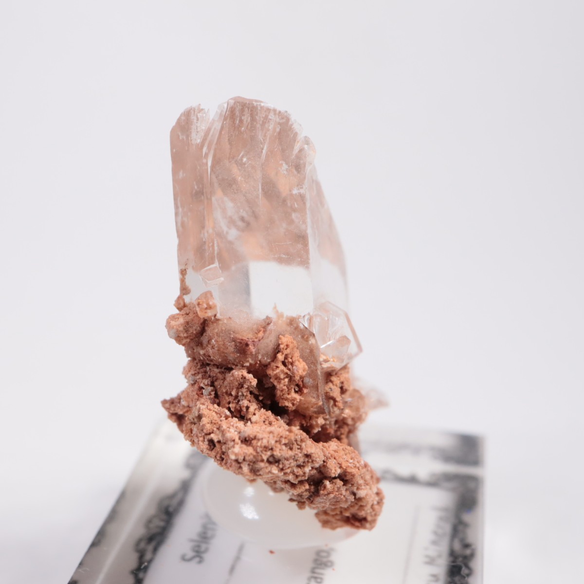 �ᥭ������ ����ʥ���