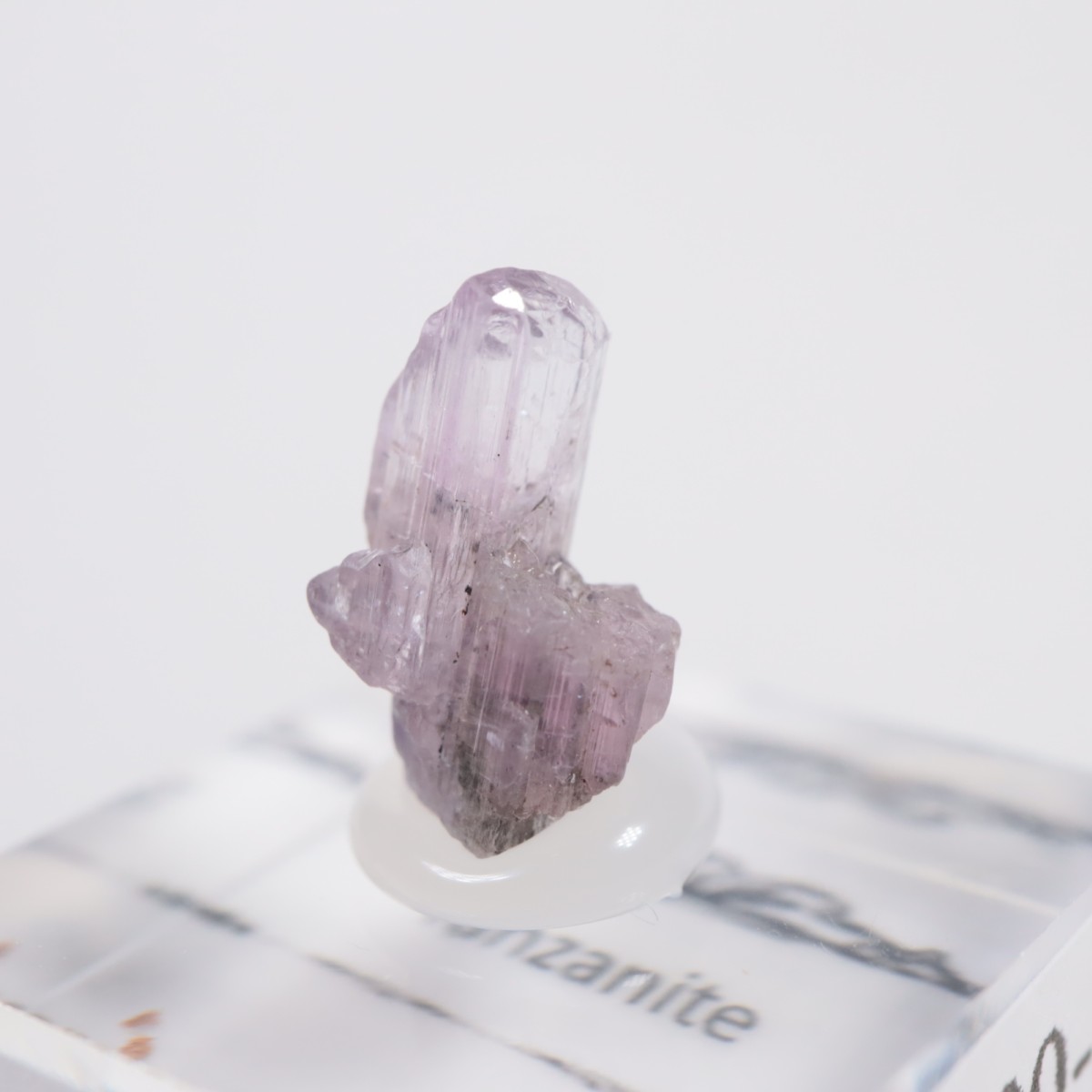 ����˥ҥ륺�� ���󥶥ʥ���