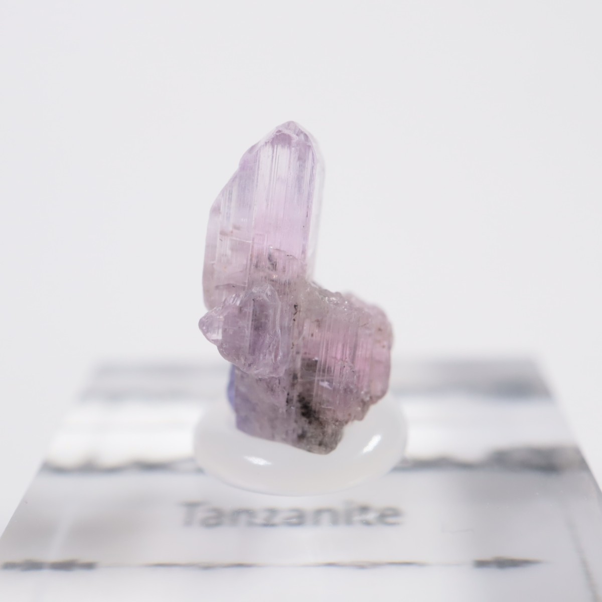 ����˥ҥ륺�� ���󥶥ʥ���