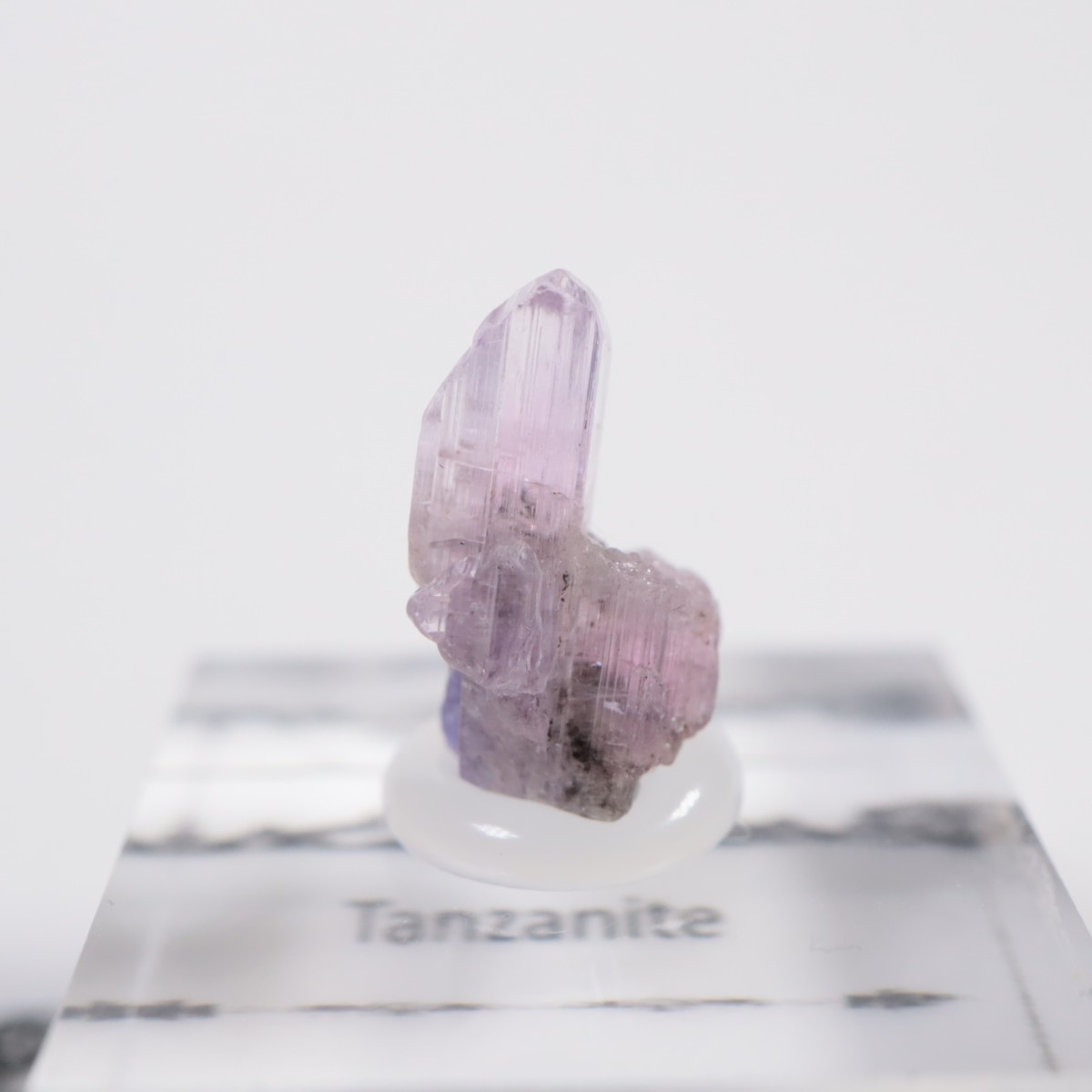 ����˥ҥ륺�� ���󥶥ʥ���