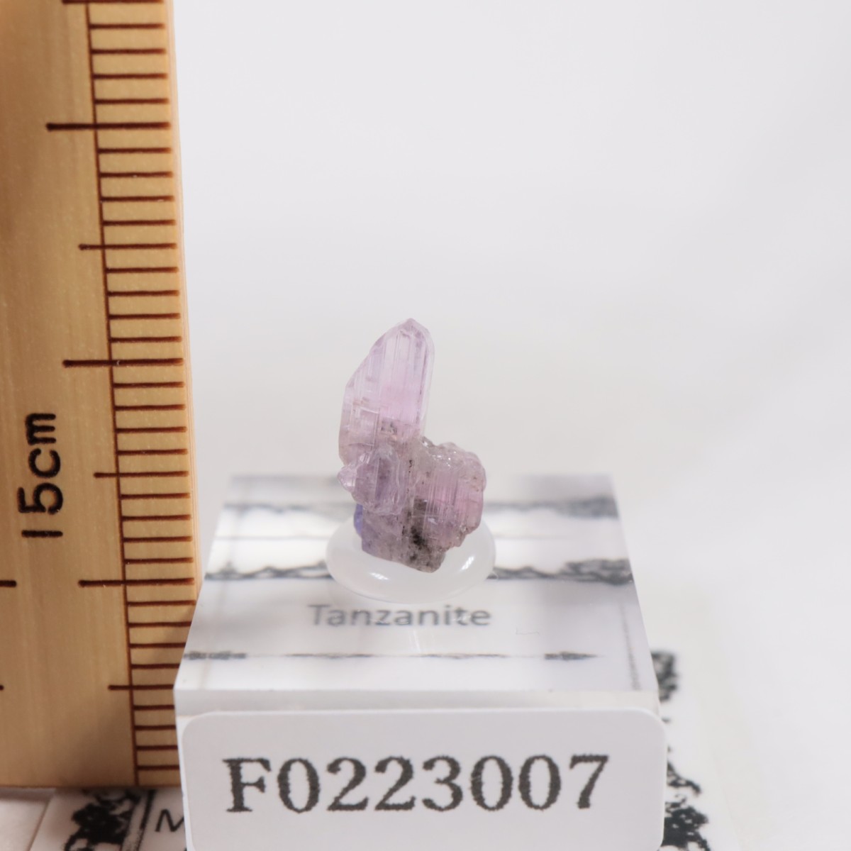 ����˥ҥ륺�� ���󥶥ʥ���