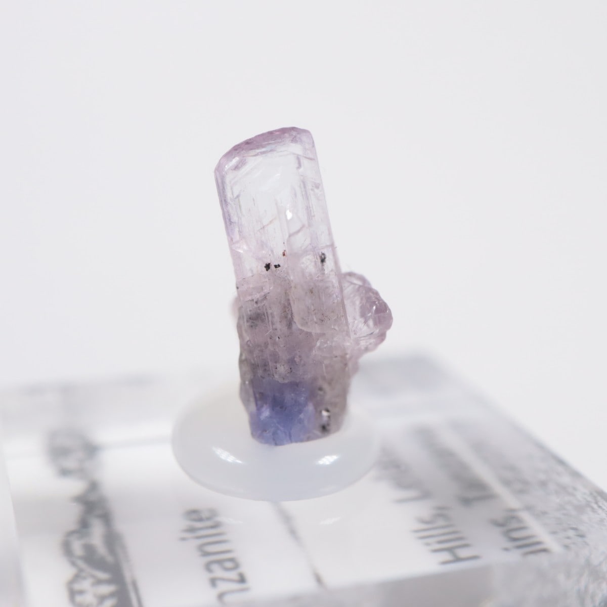 ����˥ҥ륺�� ���󥶥ʥ���