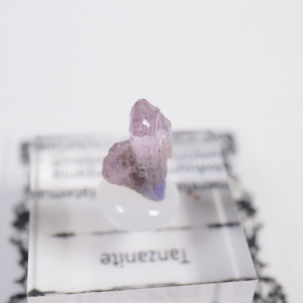 ����˥ҥ륺�� ���󥶥ʥ���