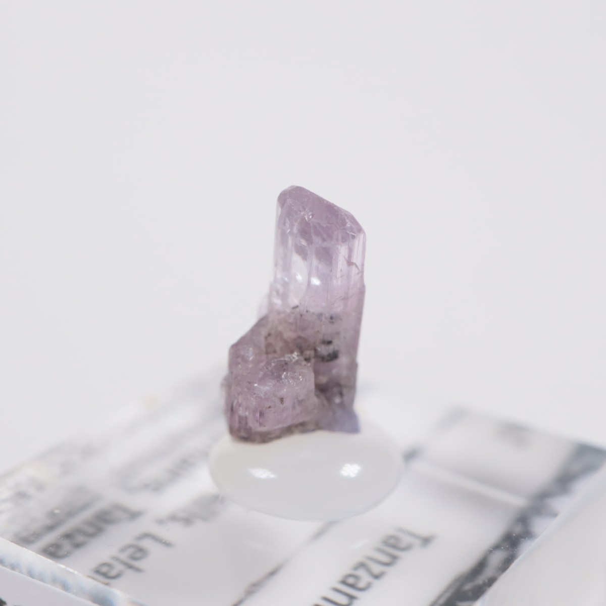 ����˥ҥ륺�� ���󥶥ʥ���