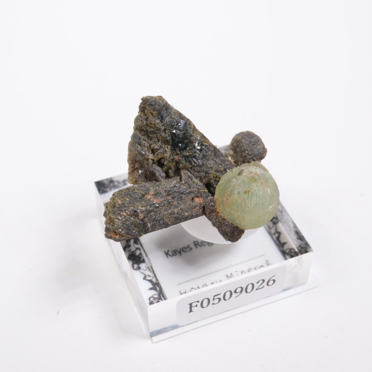 �ޥ껺 �ץ�ʥ���