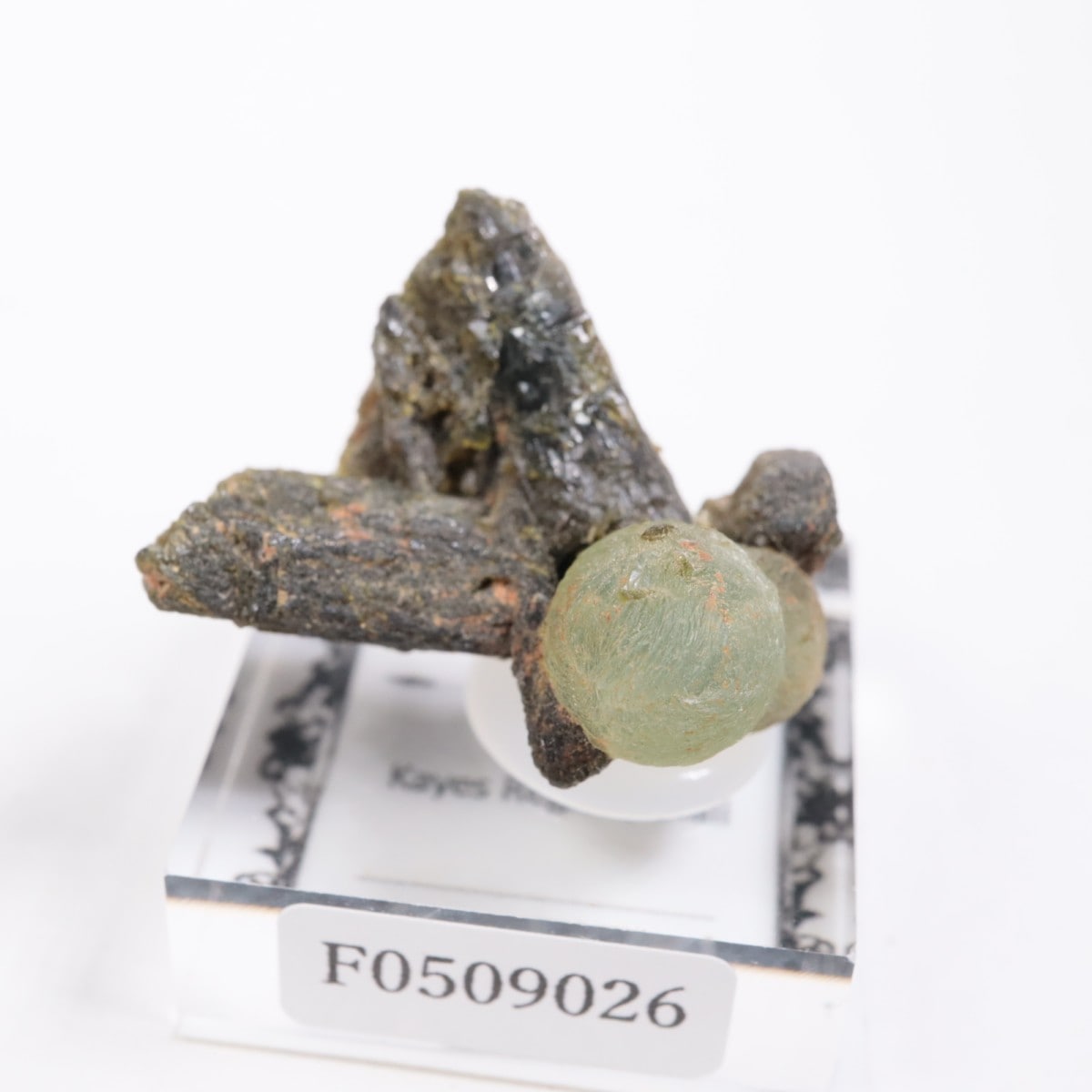 �ޥ껺 �ץ�ʥ���