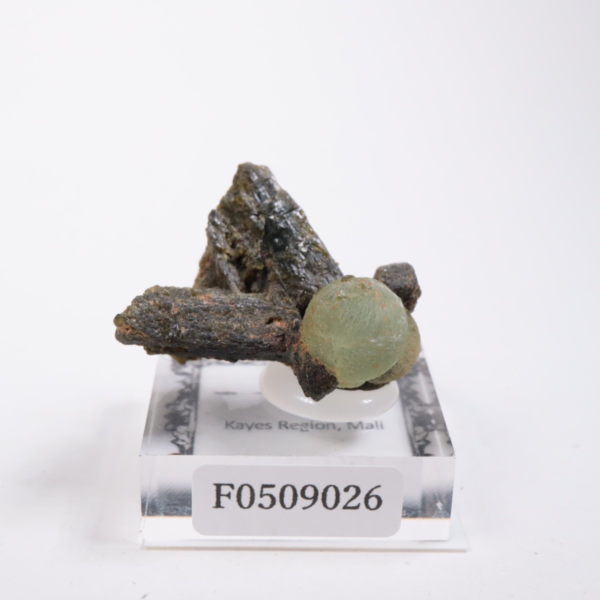 �ޥ껺 �ץ�ʥ���