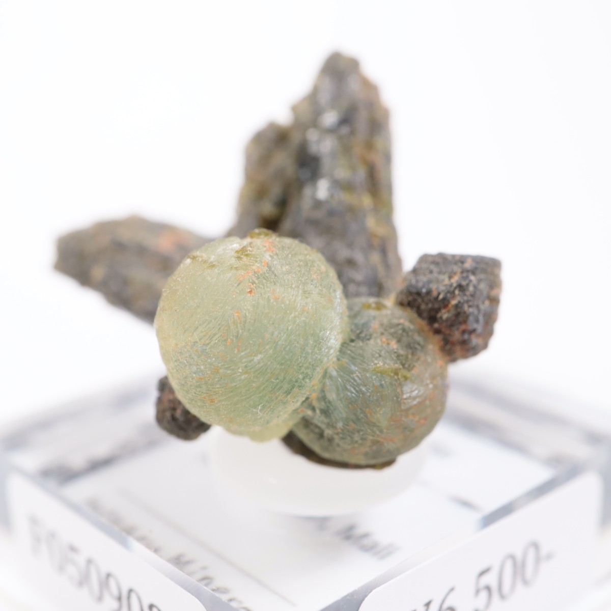 �ޥ껺 �ץ�ʥ���