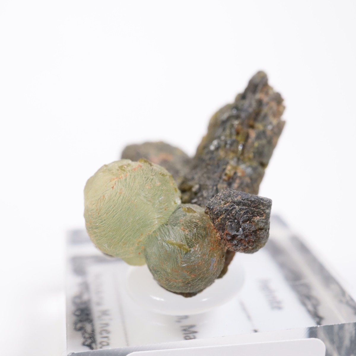 �ޥ껺 �ץ�ʥ���