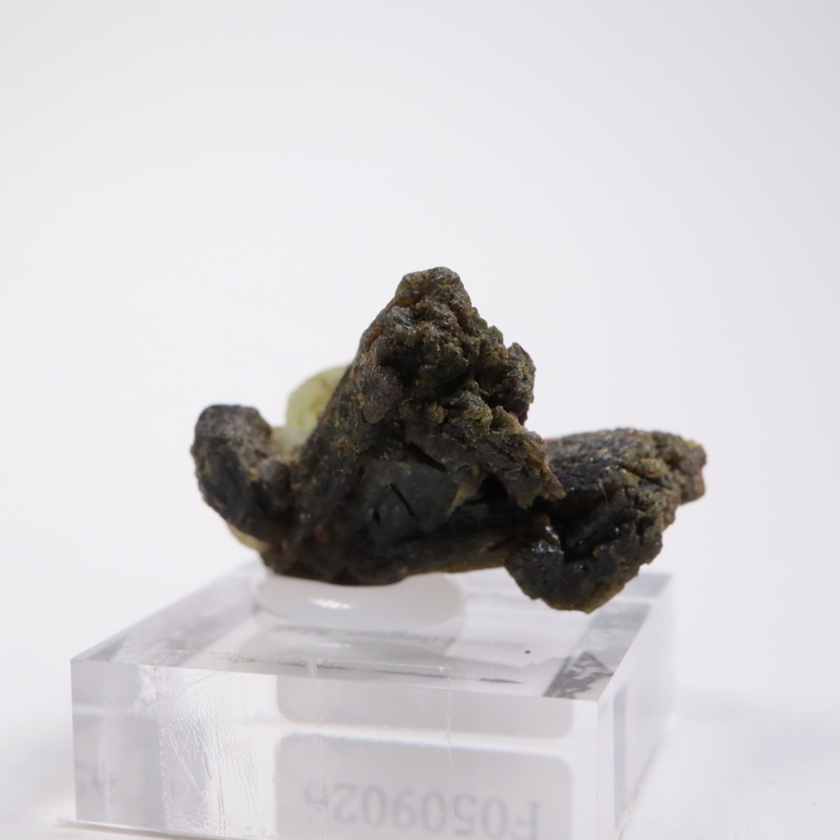 �ޥ껺 �ץ�ʥ���