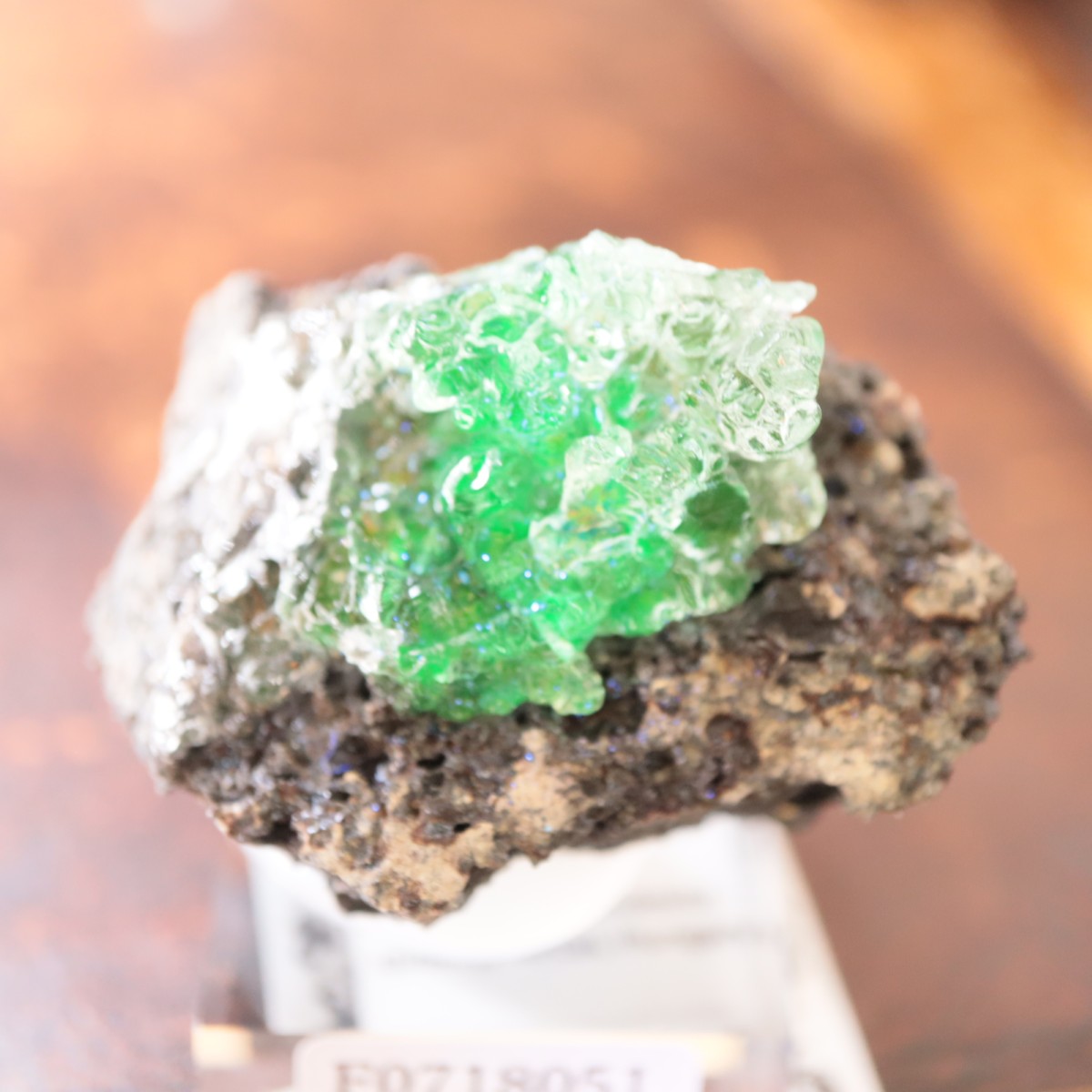 ハンガリー産 ハイアライトオパール | 鉱物標本,ア行,オパール/蛋白石