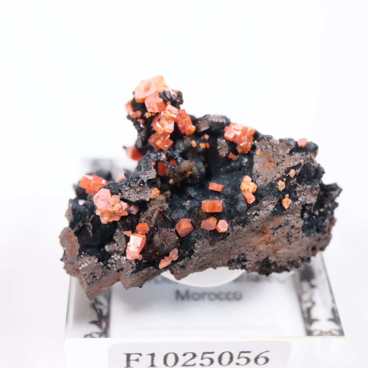 ����å��� �Хʥǥ��ʥ���