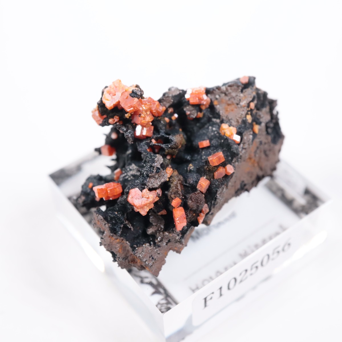 ����å��� �Хʥǥ��ʥ���