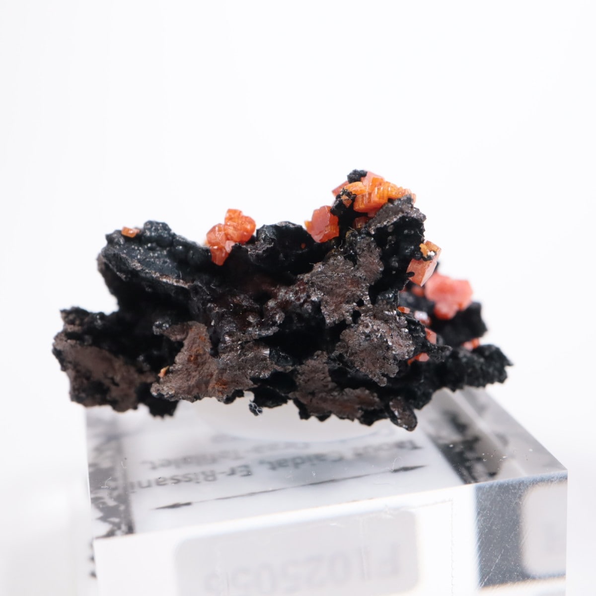 ����å��� �Хʥǥ��ʥ���