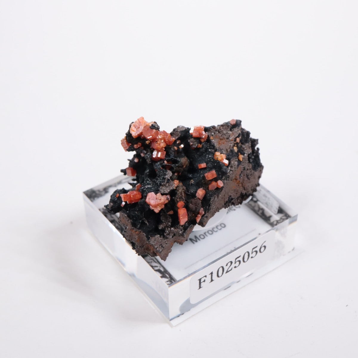 ����å��� �Хʥǥ��ʥ���