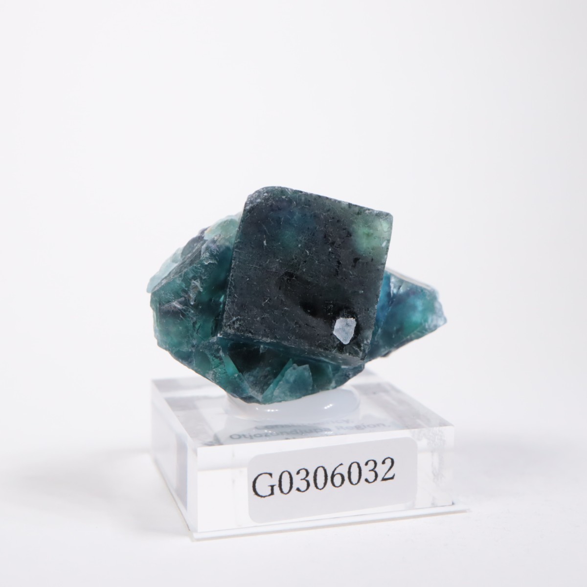 �����륹�ۻ� �ե����饤��