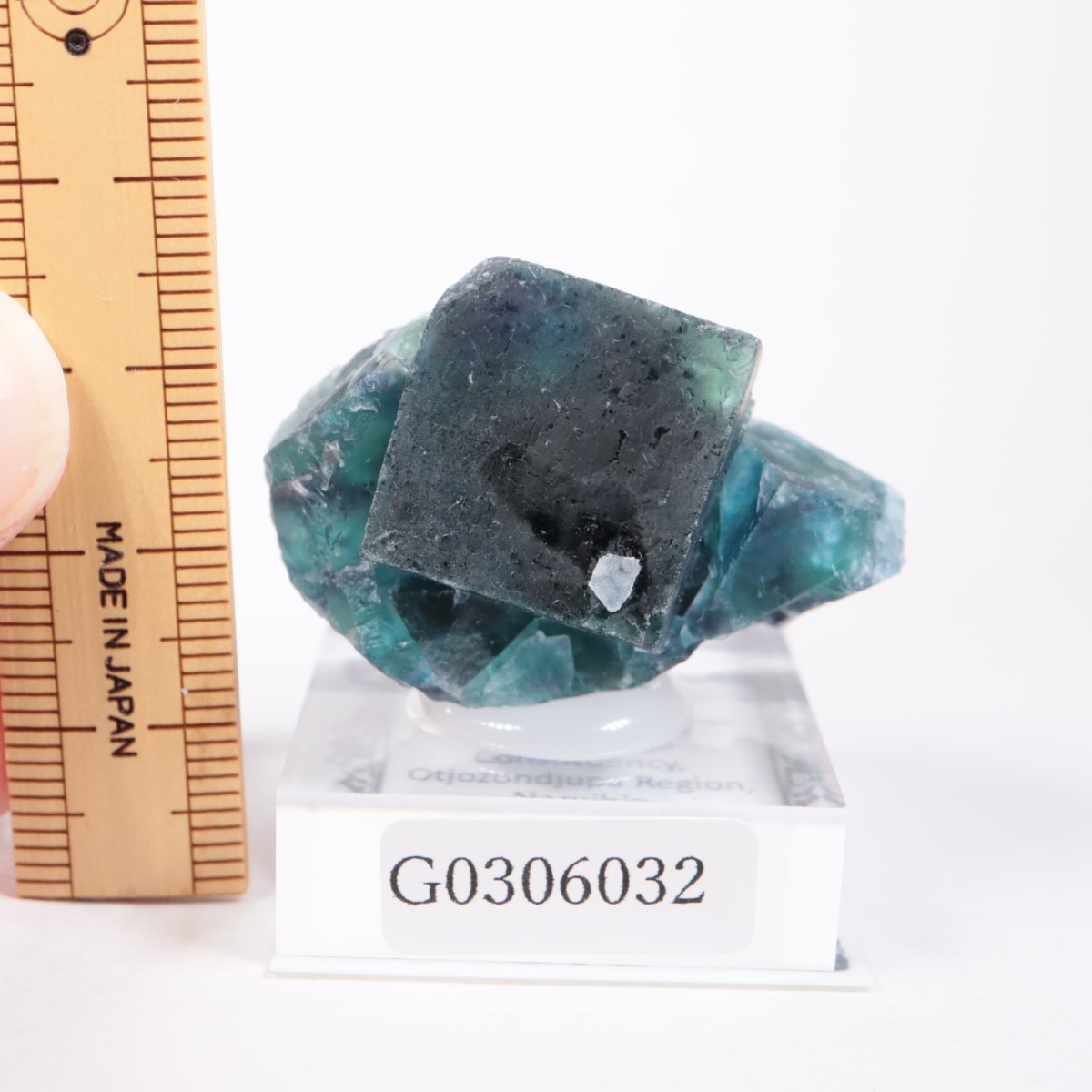 �����륹�ۻ� �ե����饤��