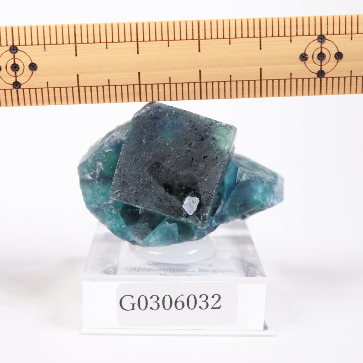 �����륹�ۻ� �ե����饤��