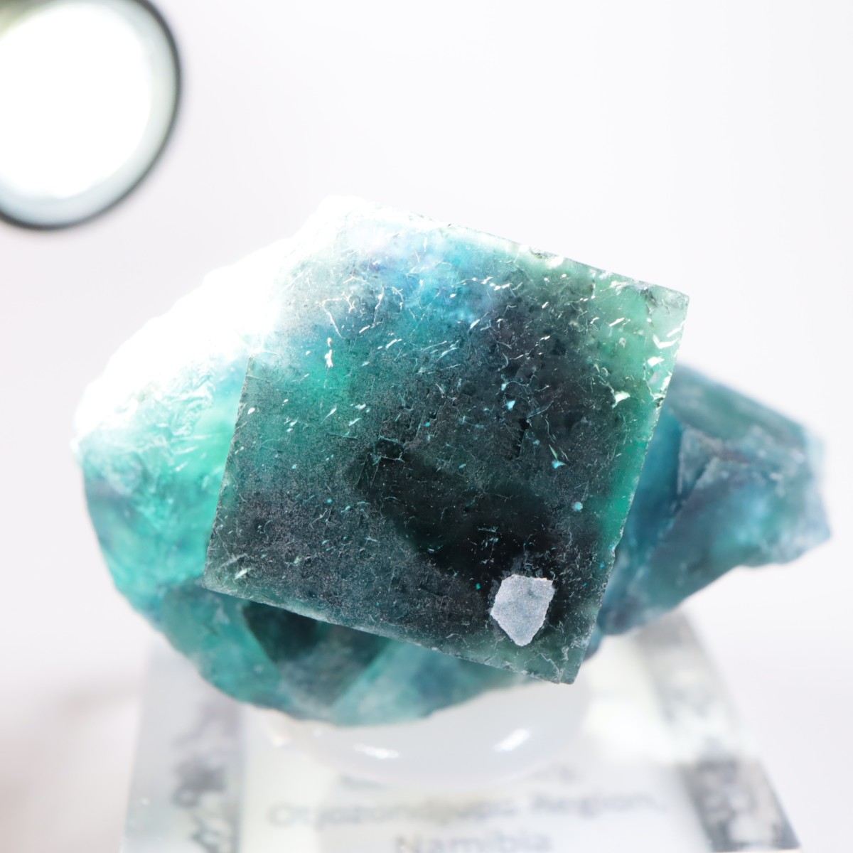 �����륹�ۻ� �ե����饤��