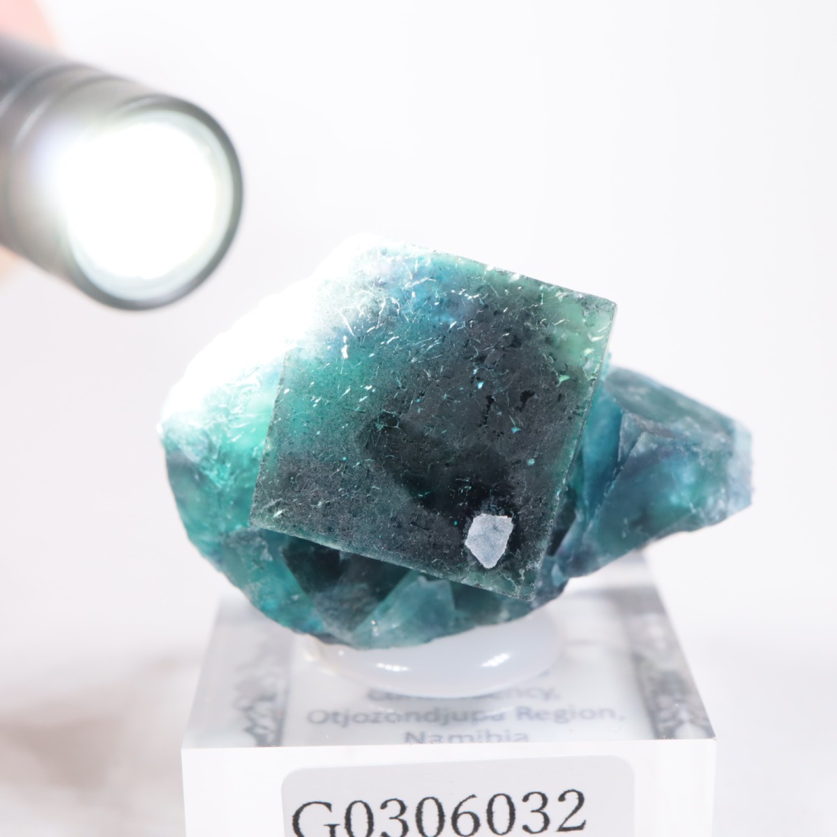 �����륹�ۻ� �ե����饤��