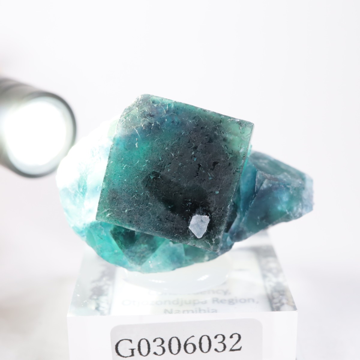 �����륹�ۻ� �ե����饤��