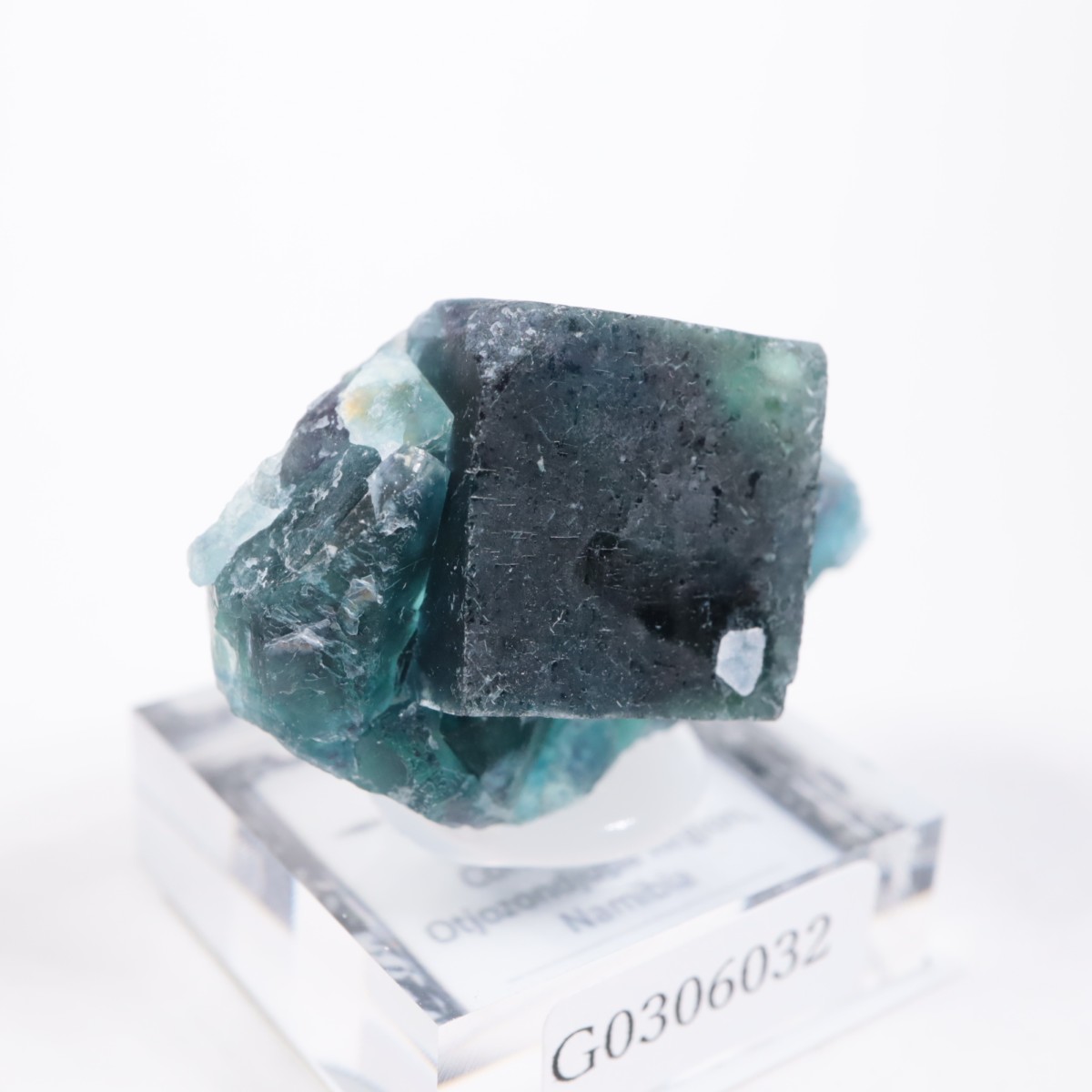 �����륹�ۻ� �ե����饤��