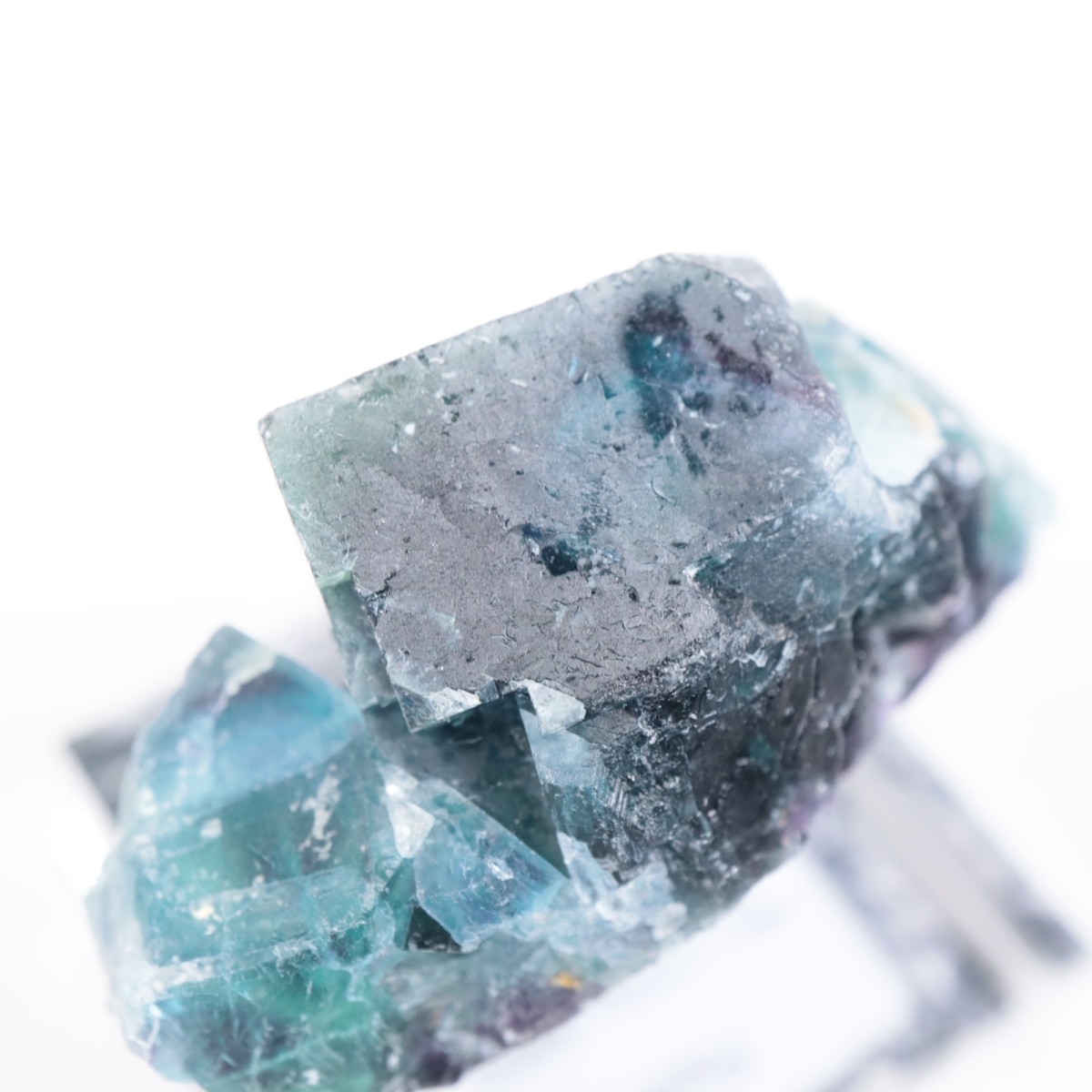 �����륹�ۻ� �ե����饤��