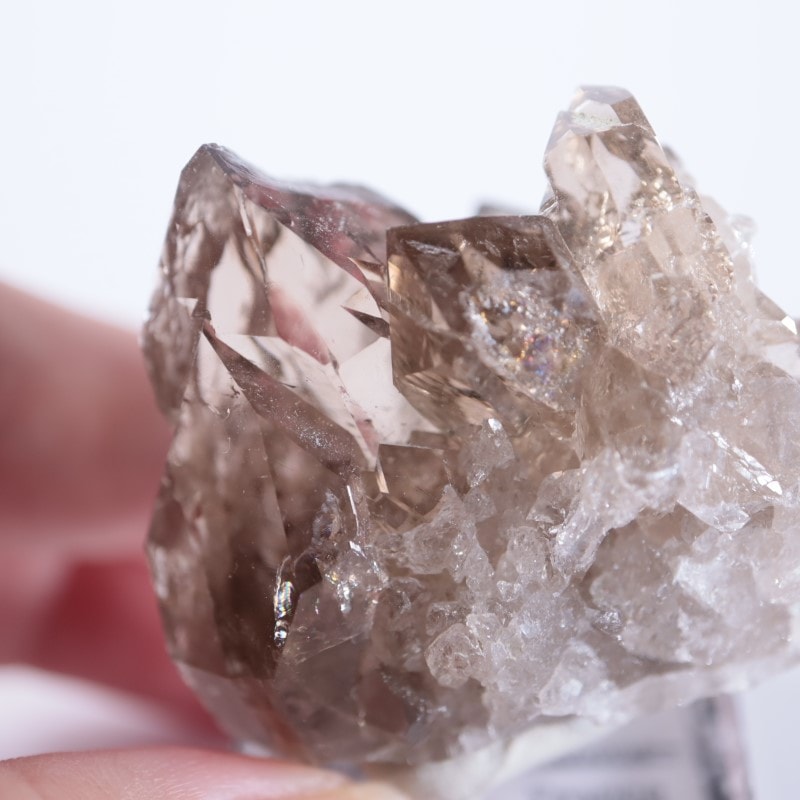 フランス産スモーキークォーツ | 鉱物標本,カ行,クォーツ/水晶