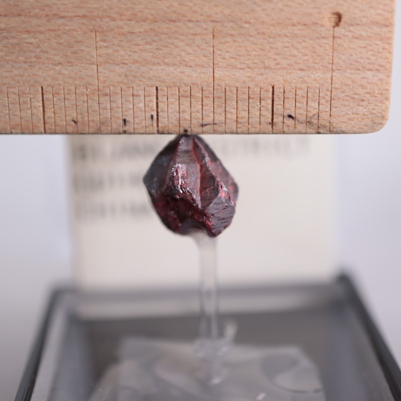 ��񻺡�ä��