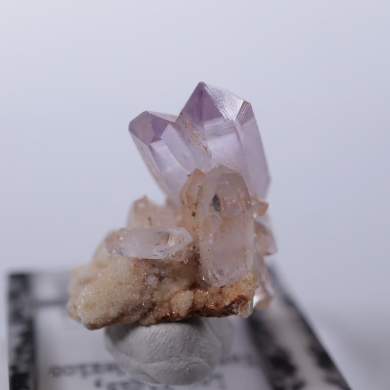 �٥饯�륹�������᥷����