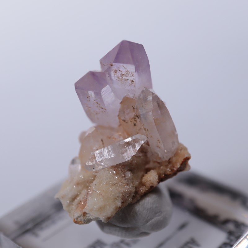 �٥饯�륹�������᥷����