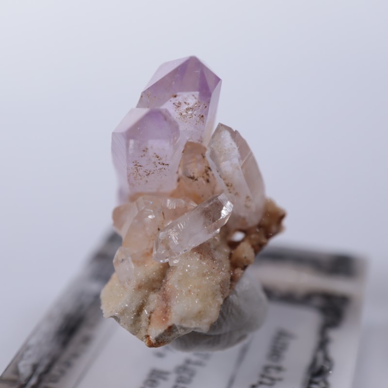 �٥饯�륹�������᥷����