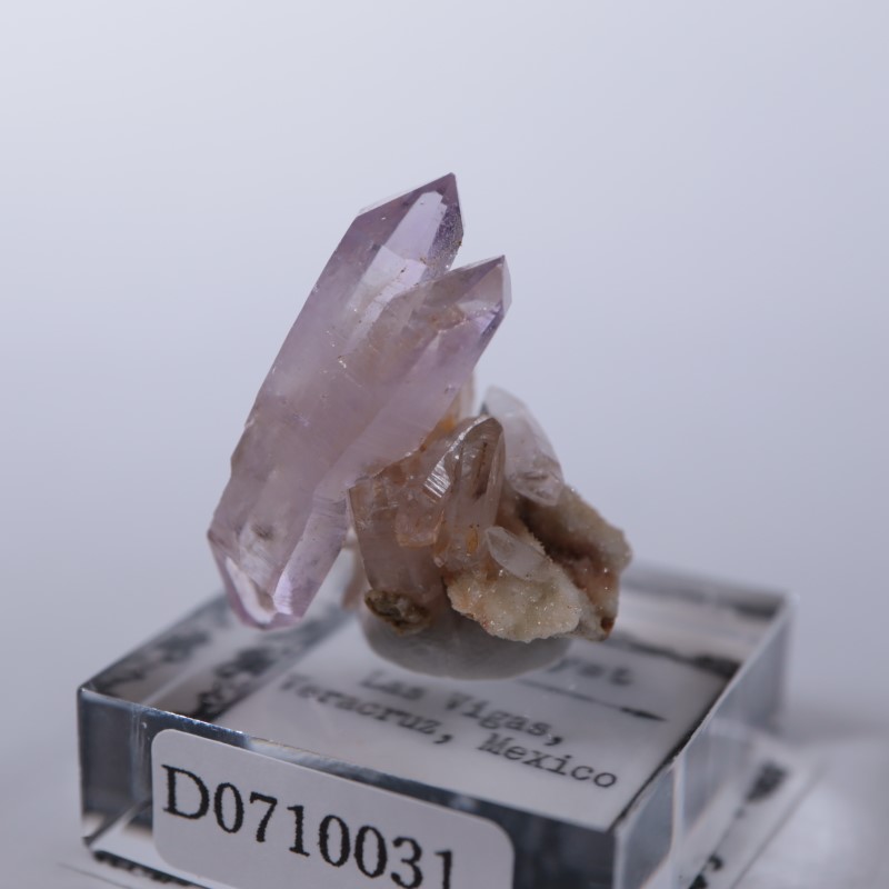 �٥饯�륹�������᥷����