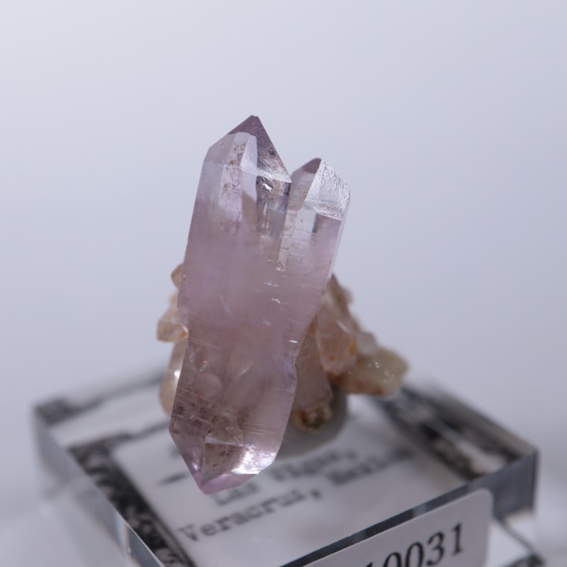 �٥饯�륹�������᥷����