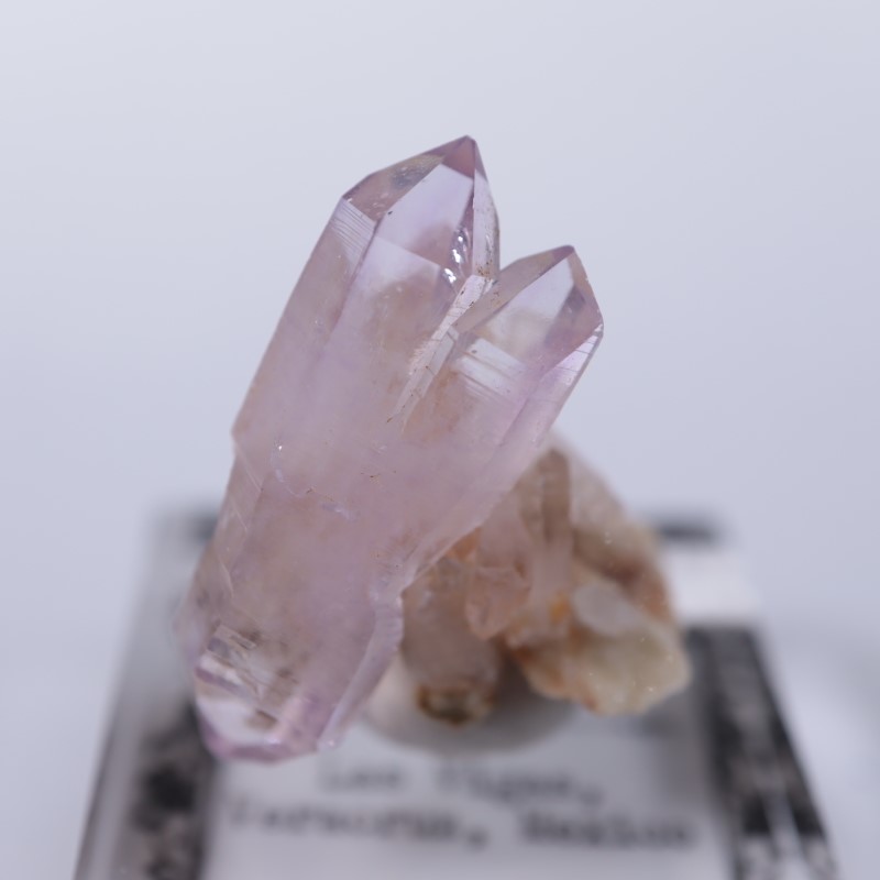 �٥饯�륹�������᥷����