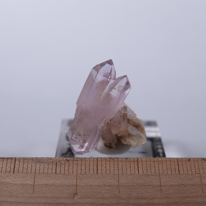 �٥饯�륹�������᥷����