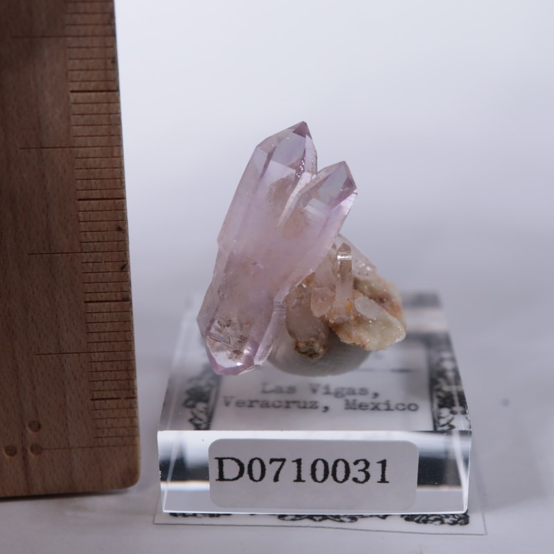 �٥饯�륹�������᥷����