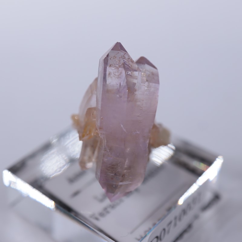 �٥饯�륹�������᥷����