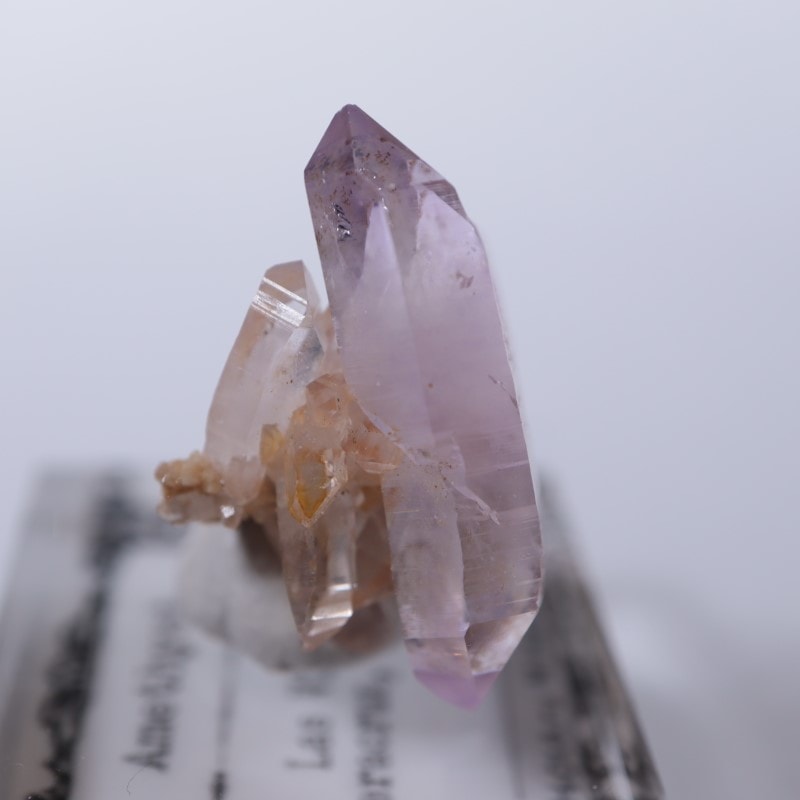 �٥饯�륹�������᥷����