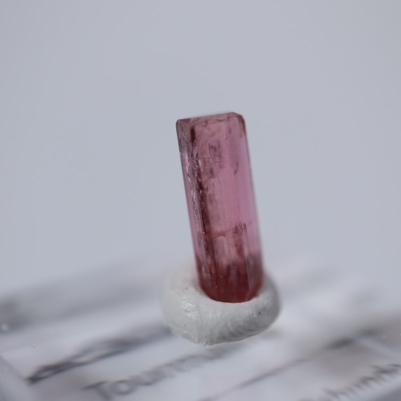 ���󥴻����ȥ�ޥ��