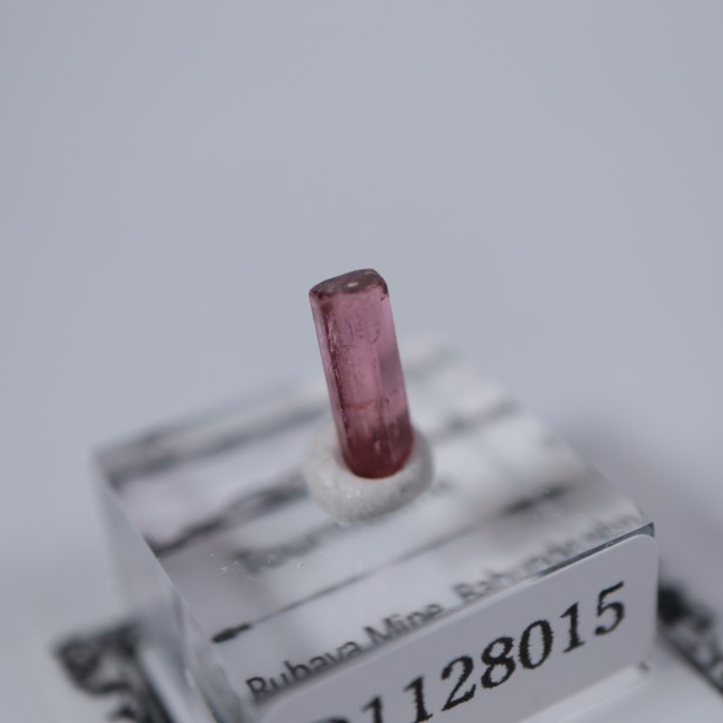 ���󥴻����ȥ�ޥ��