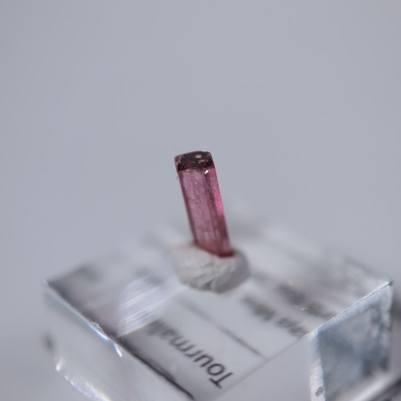 ���󥴻����ȥ�ޥ��