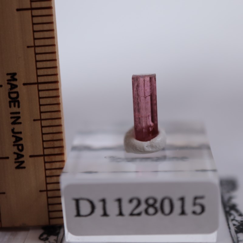 ���󥴻����ȥ�ޥ��