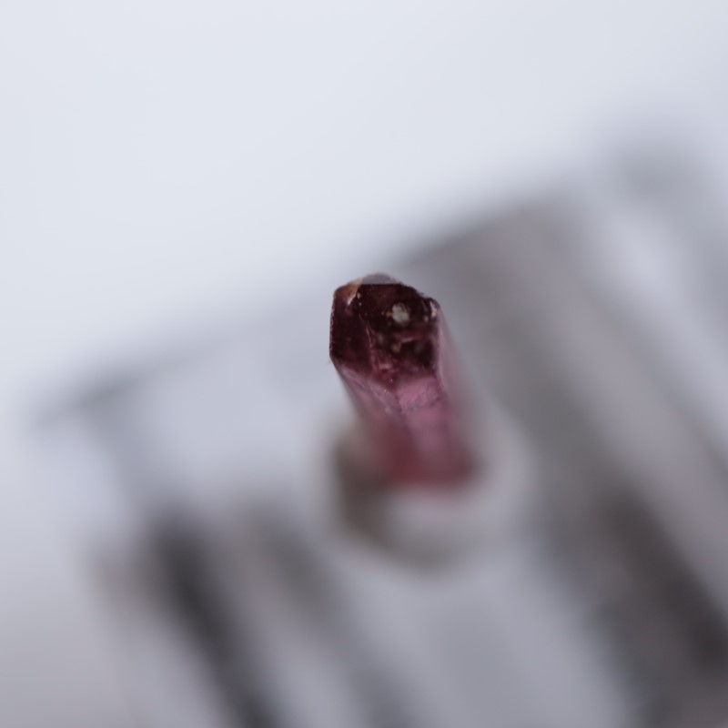 ���󥴻����ȥ�ޥ��