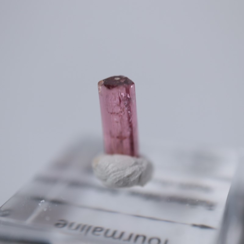 ���󥴻����ȥ�ޥ��