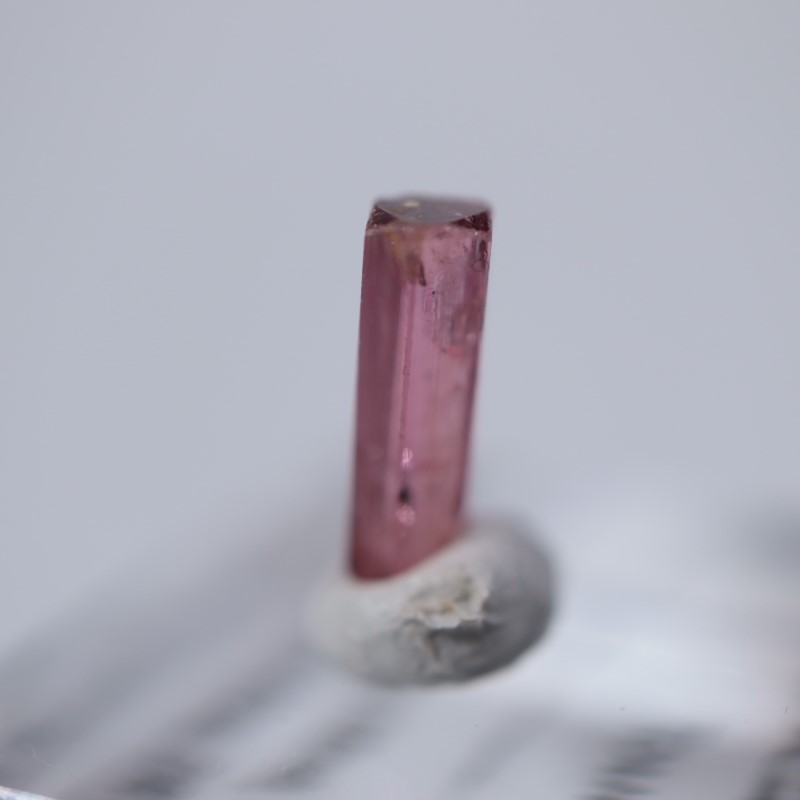 ���󥴻����ȥ�ޥ��